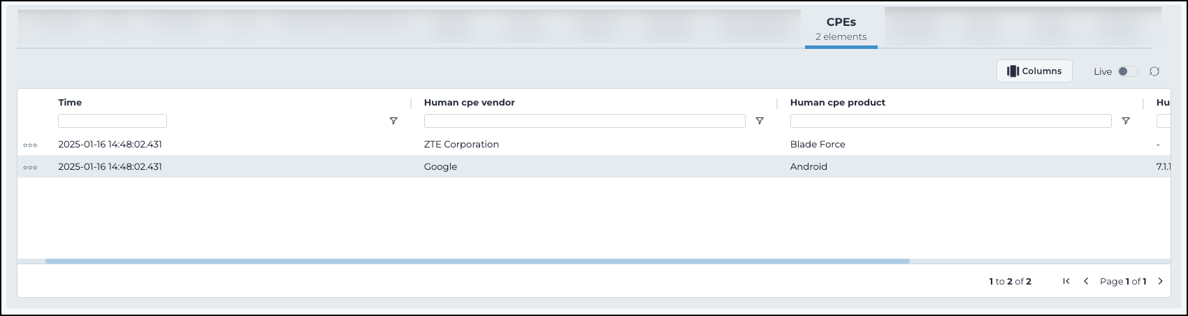 CPEs tab showing a table with time, vendor, product, and version details for detected common platform enumerations
