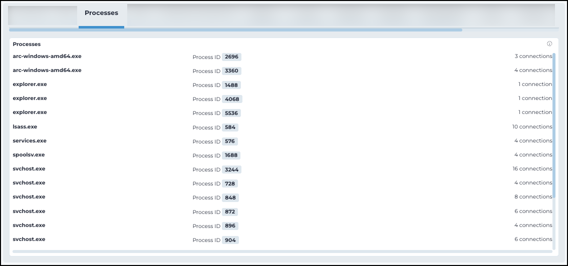 Screenshot of the Processes tab displaying a list of detected processes on an asset, with details such as process name, process ID, and number of active network connections for monitoring and investigation.