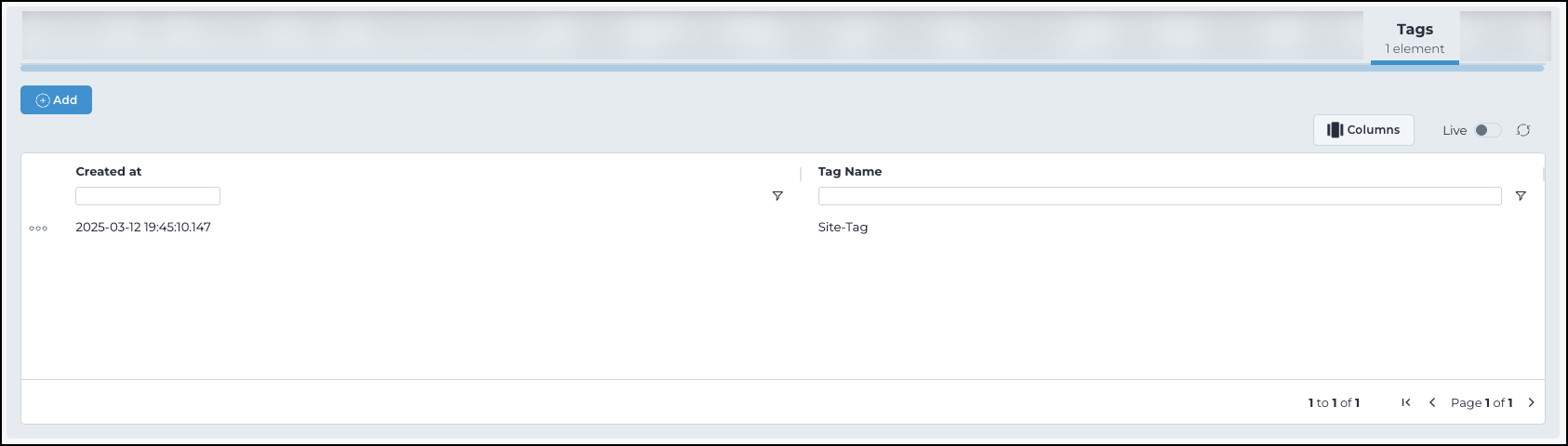 Tags tab showing a table with created at and tag name columns listing user-defined labels for the asset