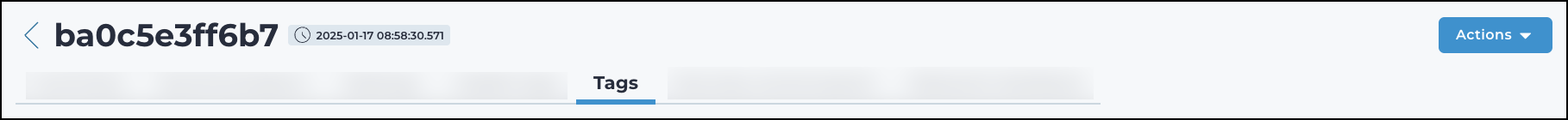 Tags tab